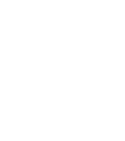 logo wordpress agência bridd